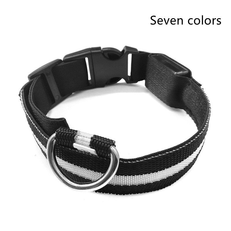 Nylon LED Pet Dog Luminous Collar - Night Safety