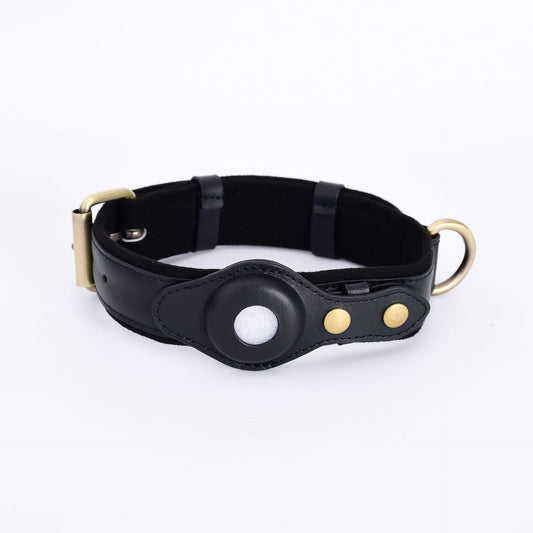 Anti-Lost Dog Collar with GPS Tracker Case