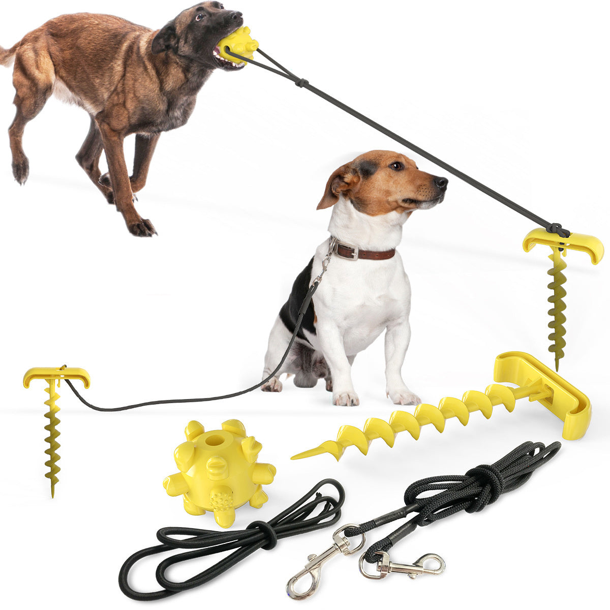 Leash and Play Toy for Dogs