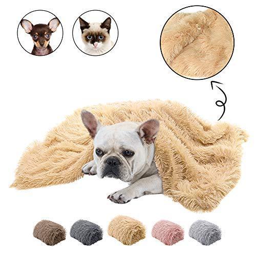 Cozy Double-Sided Plush Pet Blanket