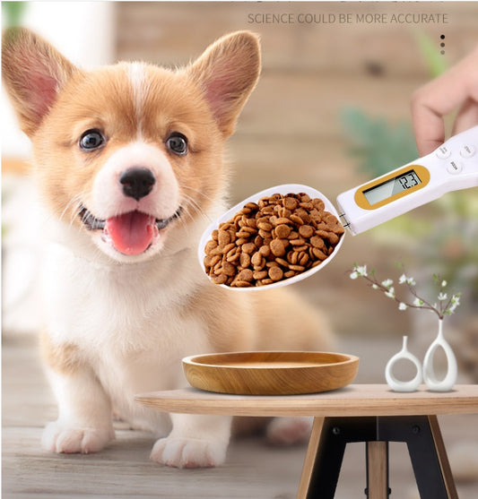 Weighing Spoon for Pet Feeding