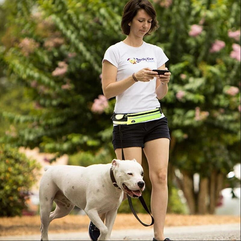 Hands-Free Pet Walking Leash