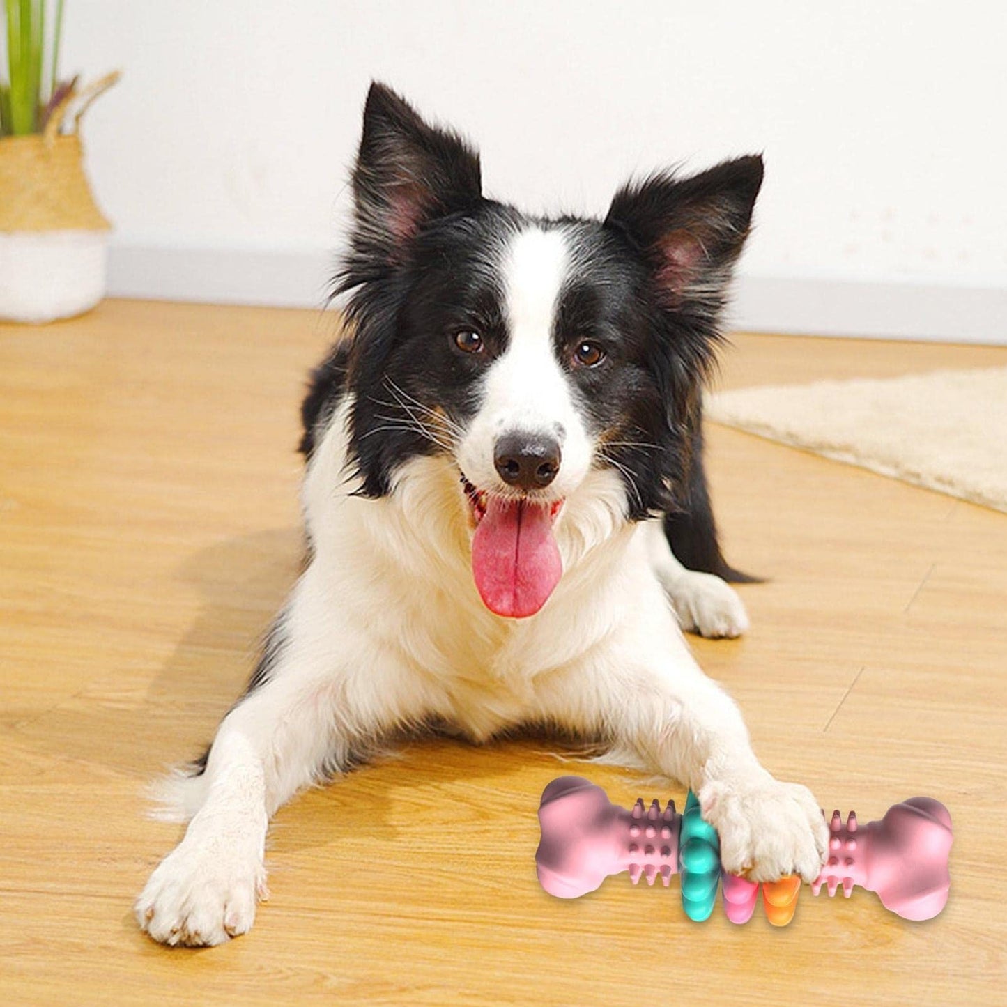 Chew Bone for Dogs Teeth Cleaning