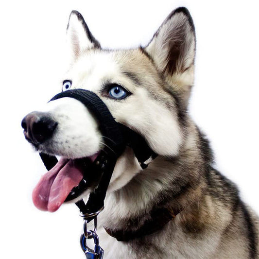 Anti-bite Mask For Pets