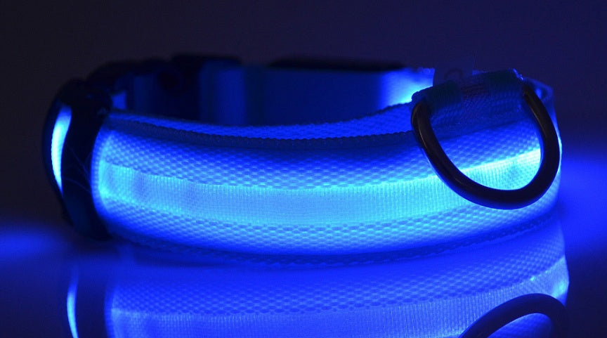 Nylon LED Pet Dog Luminous Collar - Night Safety