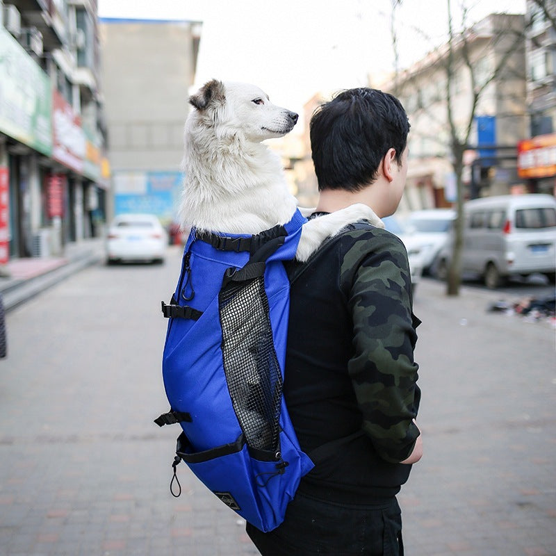 Backpack - Travel Dog Carrier Bag