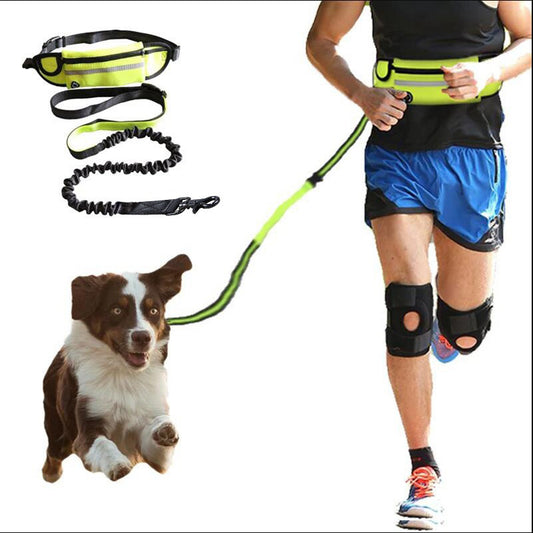 Hands-Free Pet Walking Leash