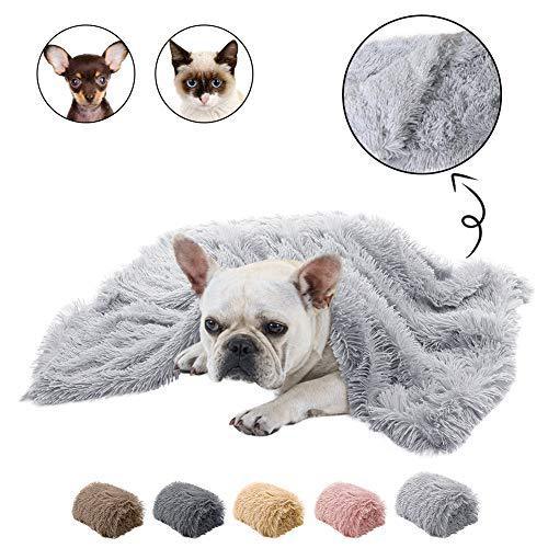 Cozy Double-Sided Plush Pet Blanket