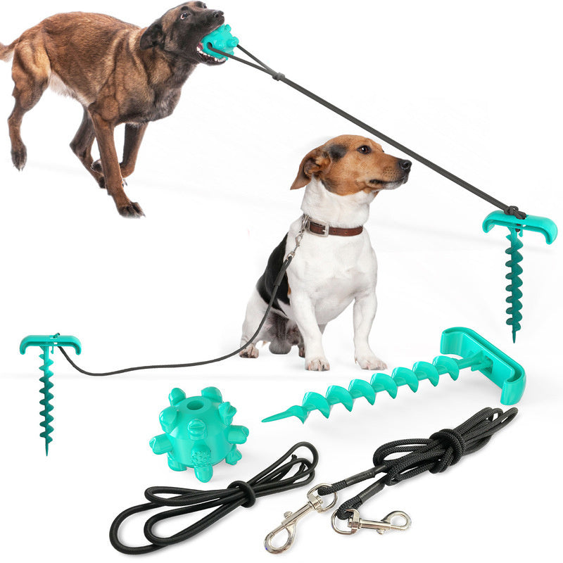 Leash and Play Toy for Dogs