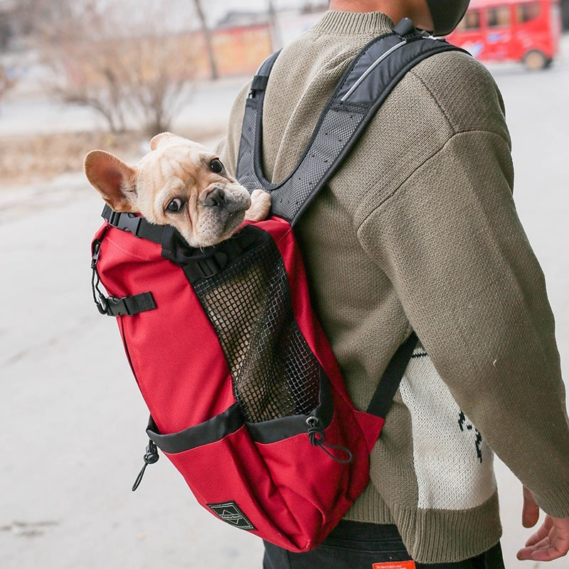 Backpack - Travel Dog Carrier Bag