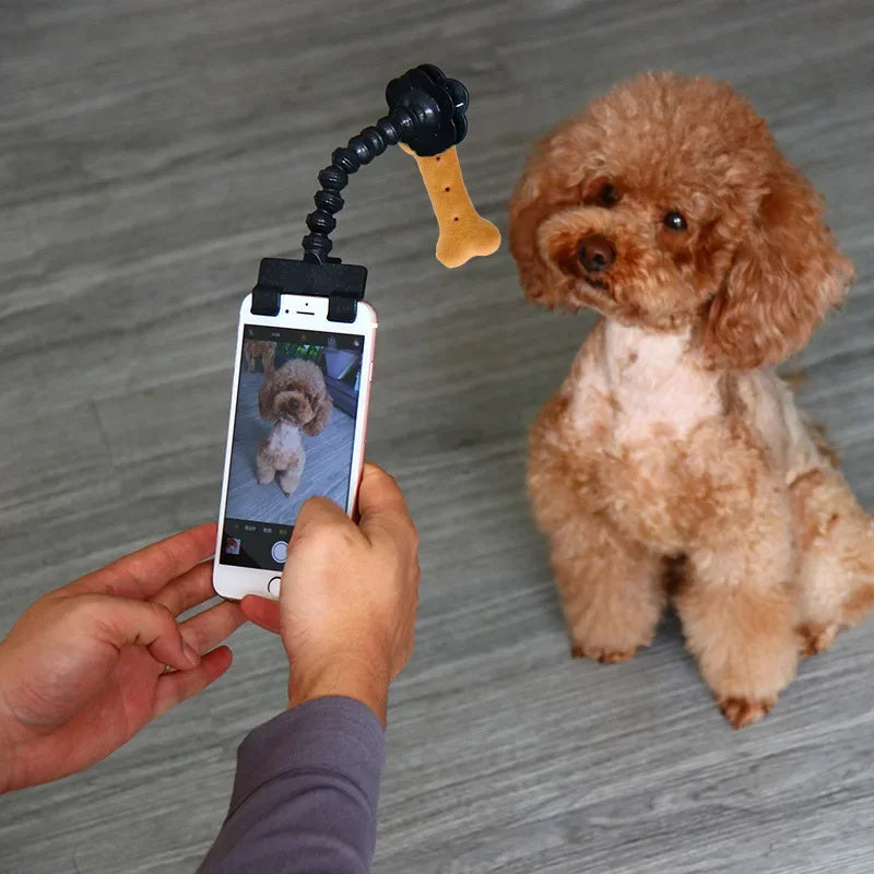 Pet Photography Tool - Selfie Clip Supplies