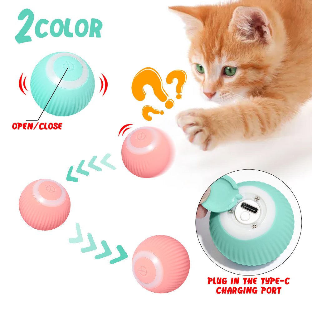 Cat Teaser Rolling Ball Toy