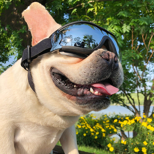 Dog Sunglasses - Windproof Protection