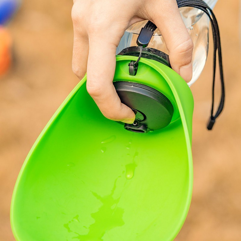 Drinking Water Bottle