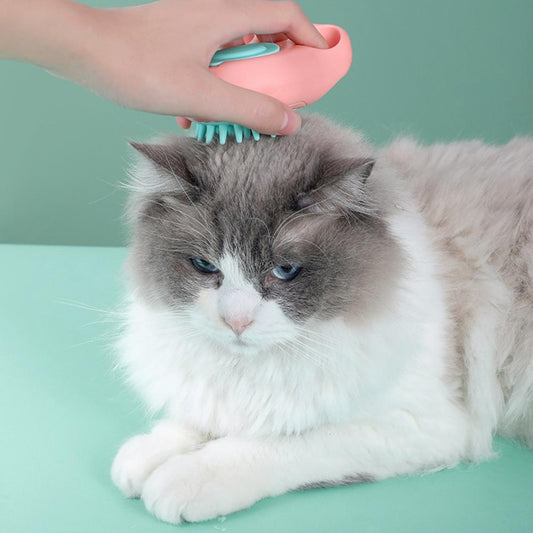 Cat Paw Bath Brush