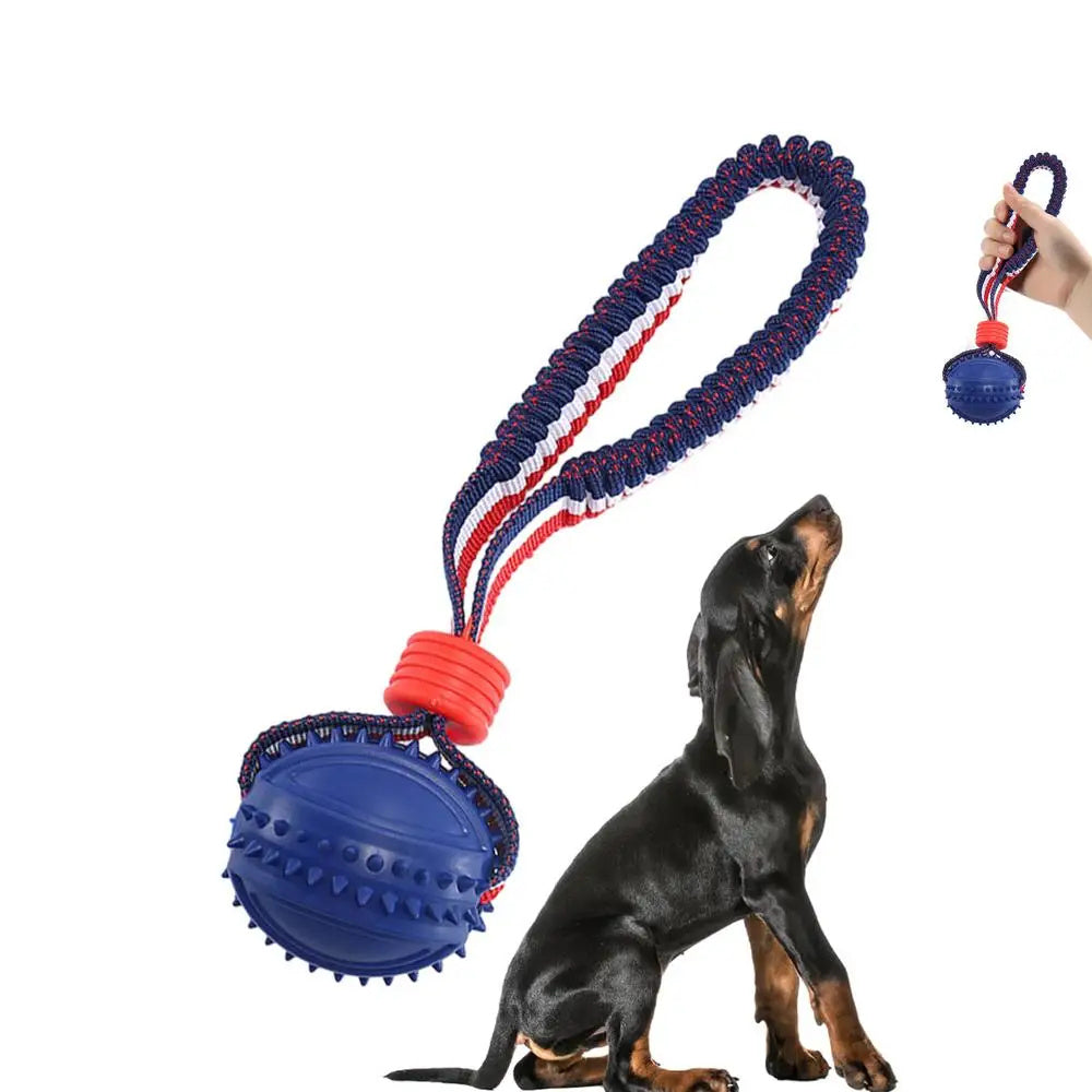 Interactive Dog Toy Ball I