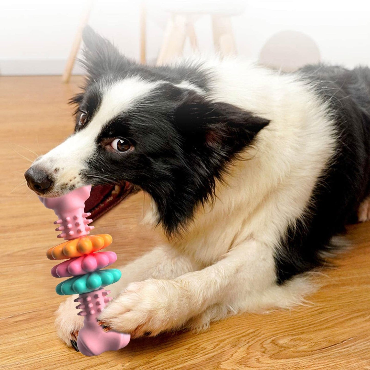 Chew Bone for Dogs Teeth Cleaning