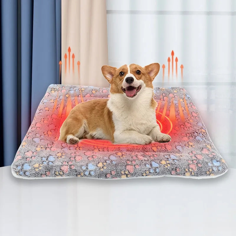 Ultra-Comfortable Pet Cushion